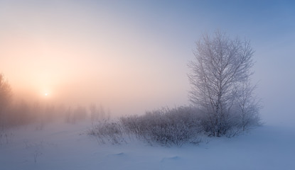 heavy fog on a frosty winter morning