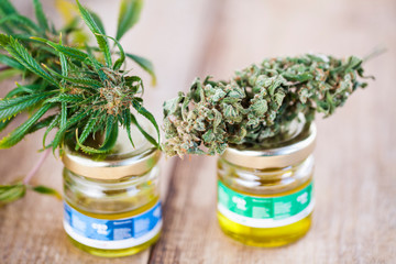 marijuana medical cannabis oil cbd