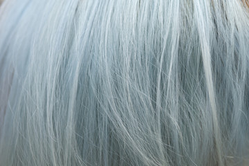 Background of grey hair dyed color with highlight bleaching technique but makes hair damaged and coarse