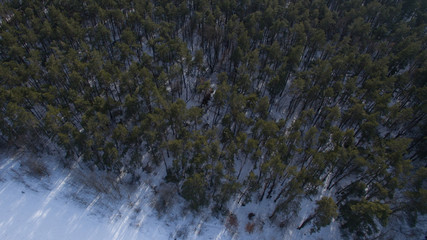 Beautiful bird's-eye photo