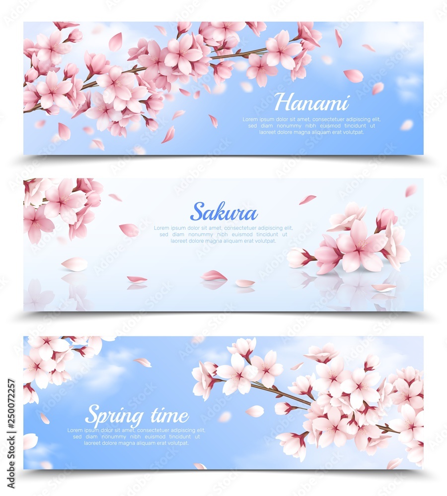 Wall mural Sakura Banners Set