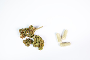 Hanf Cannabis Marijuana frontal von oben auf weißem Hintergrund mit Freiraum