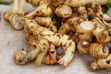 Fresh galangal for cooking in the market