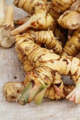 Fresh galangal for cooking in the market
