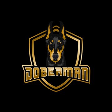 Doberman dog amazing design for your company or brand