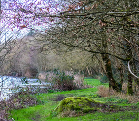 Fototapeta premium Canoeing Ireland