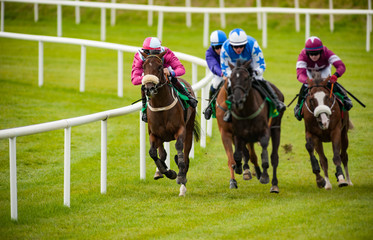 Jockey and race horse taking the lead on the final furlongs of the race