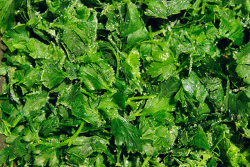 Fresh Green Background. Healthy Food Concept. Green Natural Background.