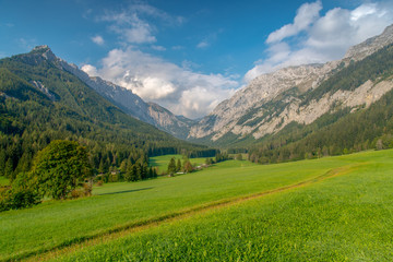 Naklejka premium Łąka w dolinie