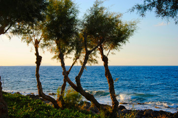 Fototapeta na wymiar rocky and sandy coast of Sisi on Crete in Greece with trees growing next to it