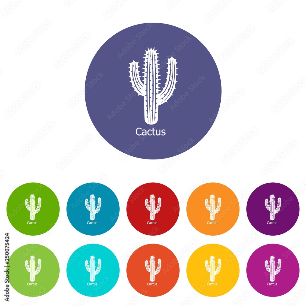 Poster cactus icons color set vector for any web design on white background