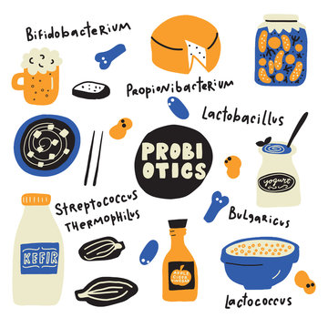 Probiotics. Food illustration in doodle style and names of probiotic bacteria. Vector.