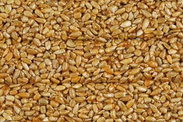Kozinaki from golden, roasted sunflower seeds as a background, texture. Macro shooting,