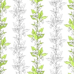 Floral seamless pattern. Watercolor background with white flowers and green leaves