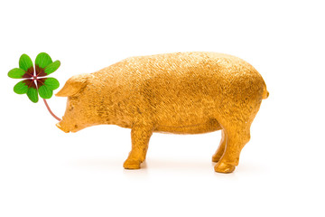 Schwein mit Kleeblatt