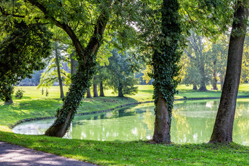 Trees by the lake on a sunny autumn day.