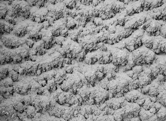 Abstract texture of stone background
