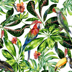Watercolor seamless pattern of tropical leaves and birds. Toucan, scarlet macaw parrot and green Alexandrine parrot. Monstera leaves, schefflera or dwarf umbrella tree, croton plant painting. - 250081023