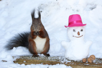 Eichhörnchen beim Schneemann bauen © MerkAngela.WH