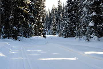 Nordic skiing