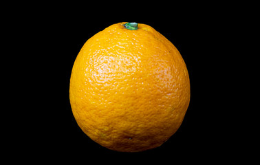  Orange of Sicily
