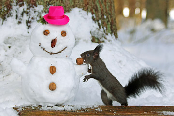 Eichhörnchen beim Schneemann bauen © MerkAngela.WH