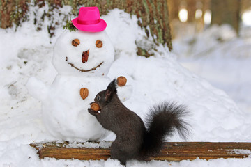 Eichhörnchen beim Schneemann bauen