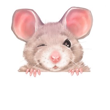 Cute cartoon rat winks. Isolated on white background
