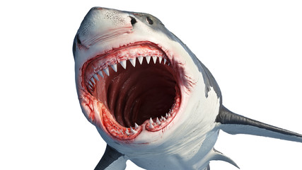 White shark marine predator with big open mouth and teeth. 3D rendering - 250085229