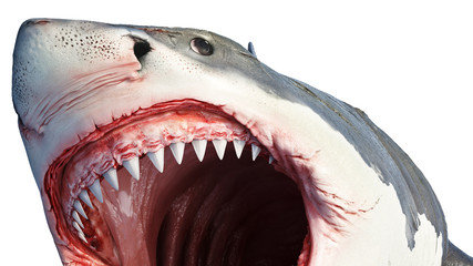 White shark marine predator big fish, close view. 3D rendering