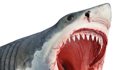 White shark marine predator big fish, close view. 3D rendering - 250085279