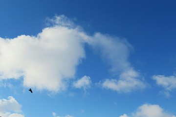 Heart shape cloud in blue sky background, natural cloudscape