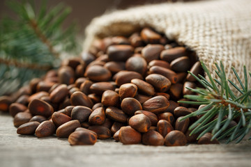 Pine nuts in a bag of burlap on an old vintage background with a fir green branch. In country style.