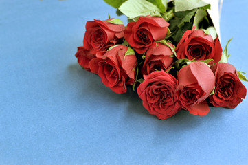 Fresh red roses flowers on the blue background. selective focus