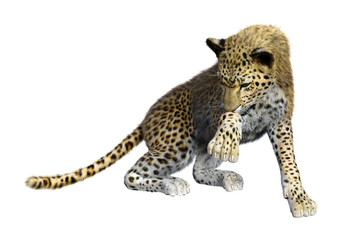 3D Rendering Big Cat Leopard on White