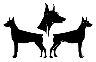 standing side view doberman pinscher and dog profile head - black and white vector design set