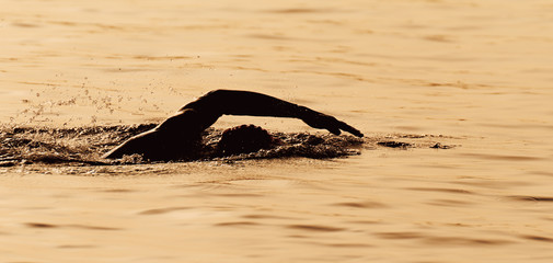 Silhouette man triathlon iron man athlete swimmers swimming