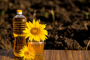 Bottle of oil on wooden stand with sunflowers field background. Sunflower oil improves skin health...
