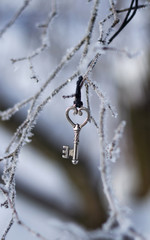 Fototapeta premium Key on winter branch