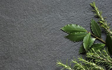 spicy herbs background. bay leaves fresh and rosemary on a black background. copy space. place for text. top view.