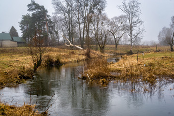 Przedwiośnie  na Podlasiu, Dolina Górnej Narwi