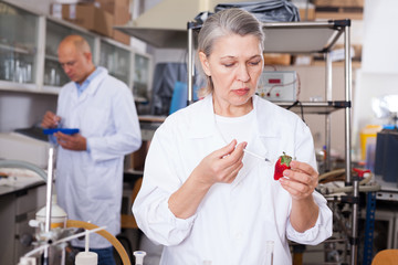 Woman biochemist injecting chemicals into strawberry