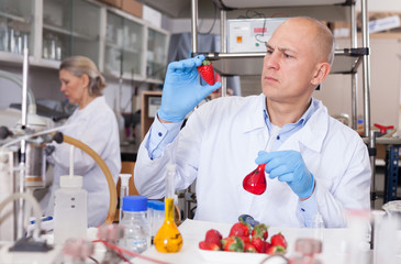 Scientist checking agricultural products