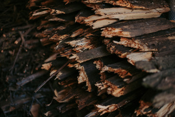 Firewood, for fire, stacked in a flat pile. wall firewood,