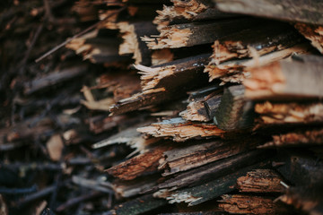 Firewood, for fire, stacked in a flat pile. wall firewood,