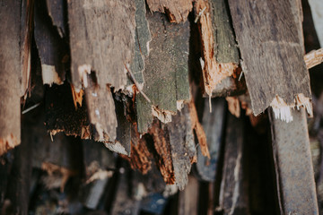 Firewood, for fire, stacked in a flat pile. wall firewood,