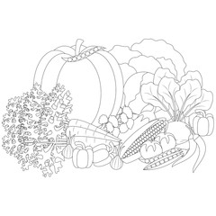 vector illustration of Doodle vegetables, anti-stress coloring