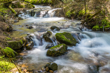 Fototapeta na wymiar Mountain creek in forest landscape
