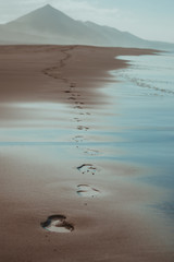 nature poster. sand beach and track of foot