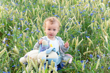 Little girl on a walk with her toy in a cornflower field.